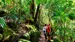 Glæd jer til at opleve Lamington National Park | Foto: Tourism and Events Queensland Glæd jer til at opleve Lamington National Park | Foto: Tourism and Events Queensland