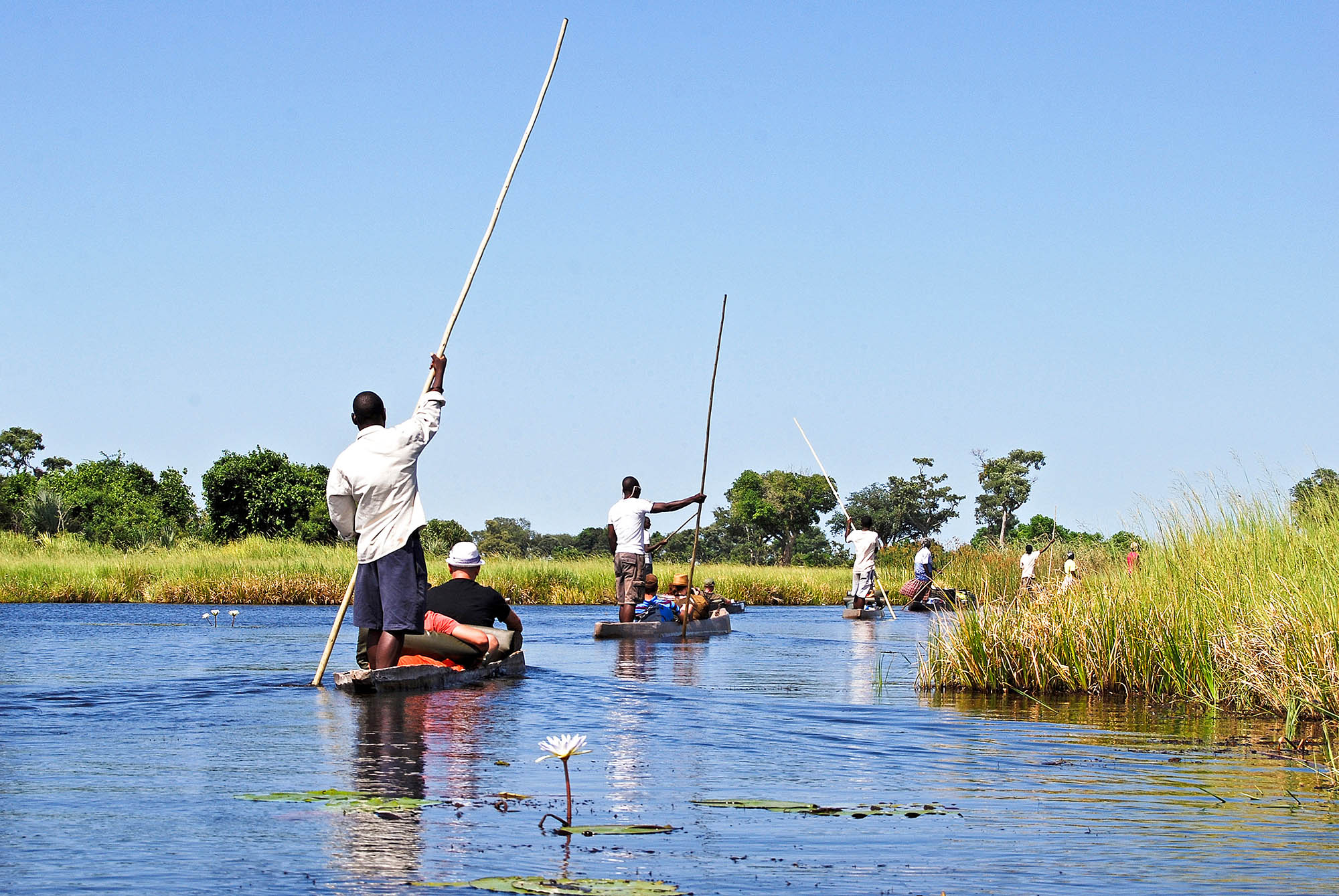 Mokoro-sejlads i Okavango-deltaet i Botswana