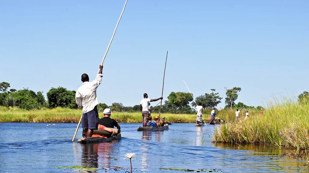 Mokoro-sejlads i Okavango-deltaet i Botswana