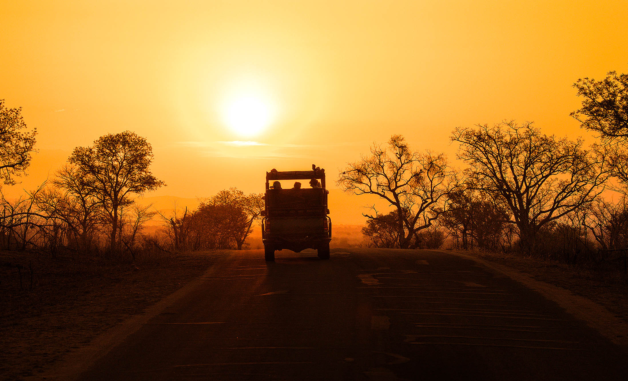 Kom på game drives og se de vilde dyr i Kruger National Park.