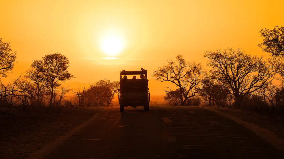 Kom på game drives og se de vilde dyr i Kruger National Park.