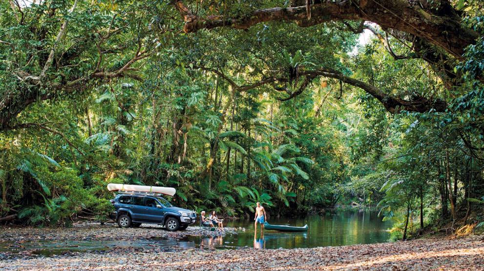 Verdens ældste tropiske regnskov, Daintree, er fuld af oplevelser! Foto: Tourism Port Douglas & Daintree