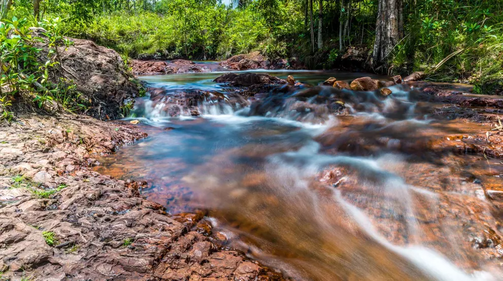 Nyd naturen i Litchfield National Park