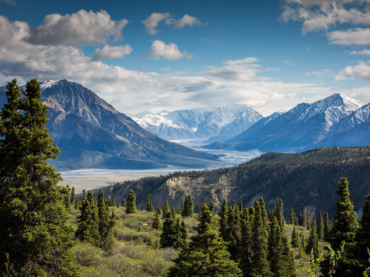 Rejser til Rocky Mountains byder på ikoniske bjerge og dybe skove.