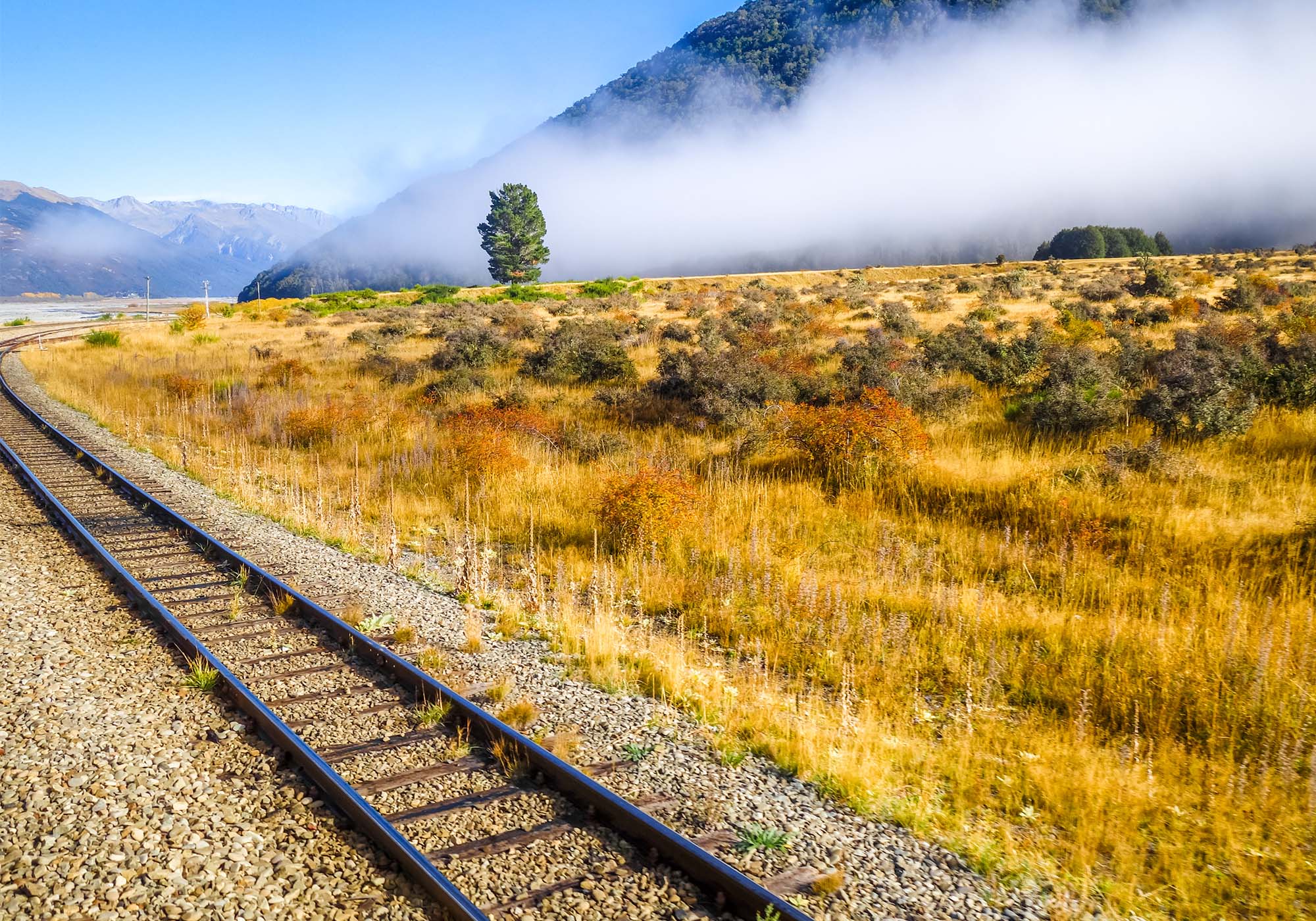 TranzAlpine-skinnerne gennem New Zealands bjerglandskaber