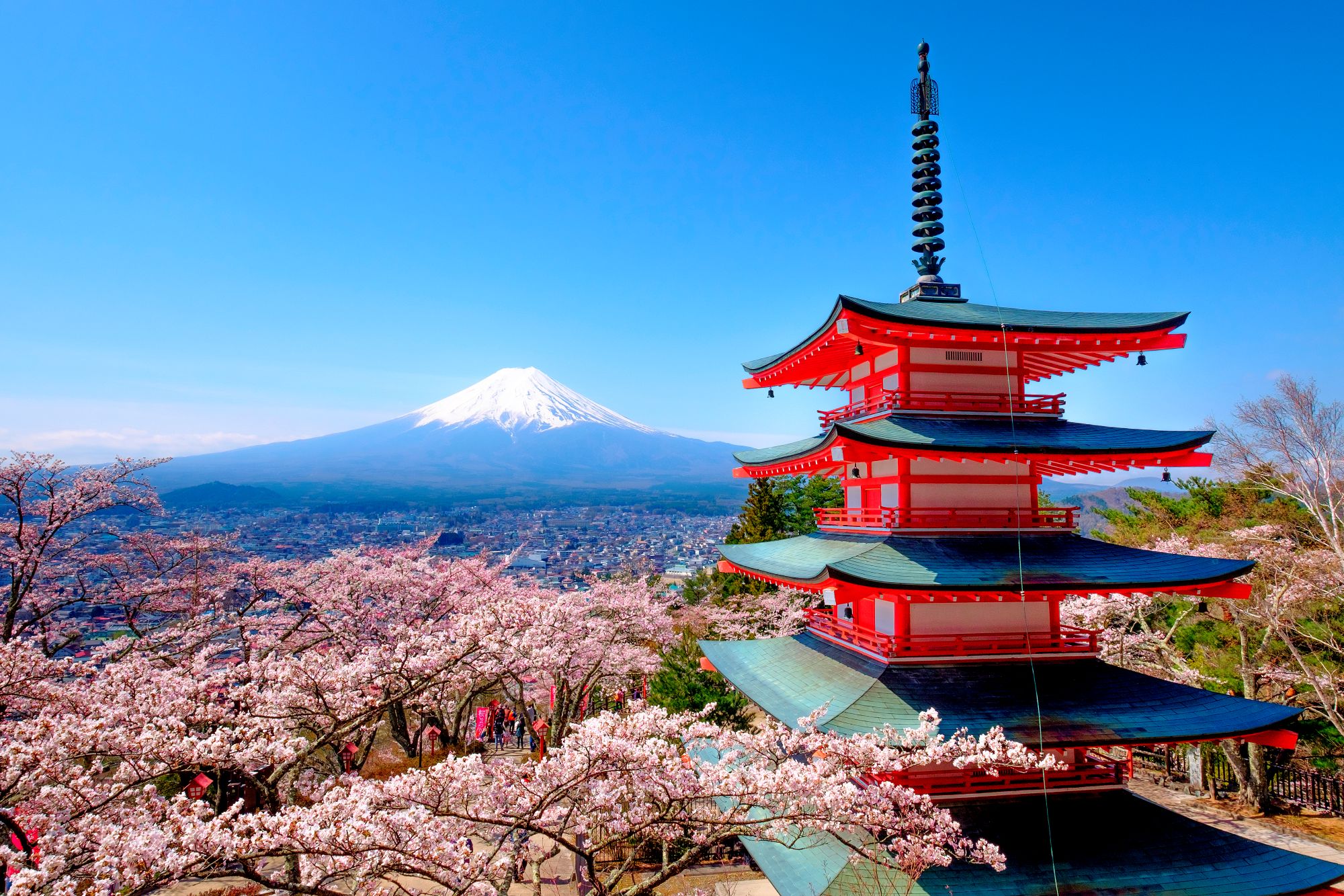 Udsigt til Mt Fuji