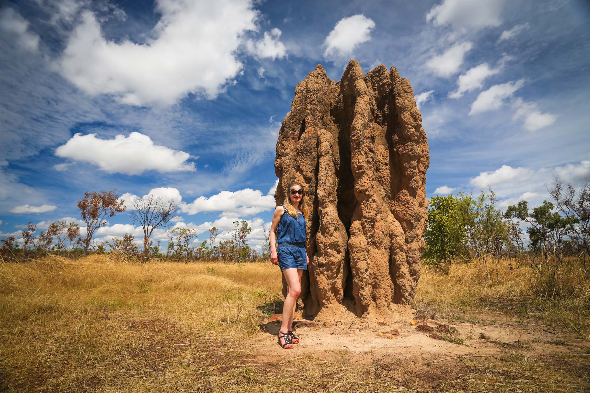 Termitbo i Kakadu National Park