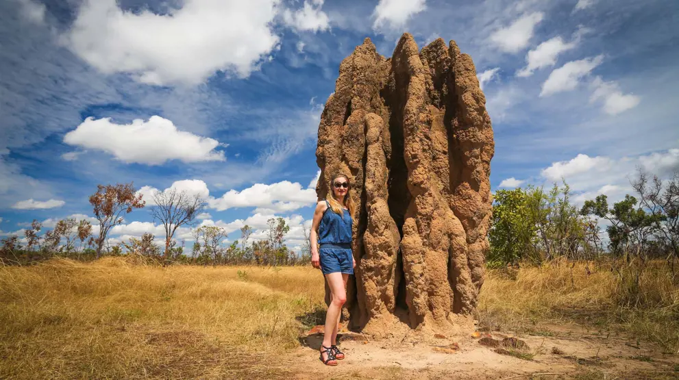 Termitbo i Kakadu National Park