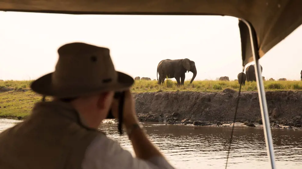 Bådtur i Chobe National Park med de mange elefanter