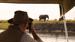 Elefanter set fra båden i Chobe National Park - Safari i Chobe