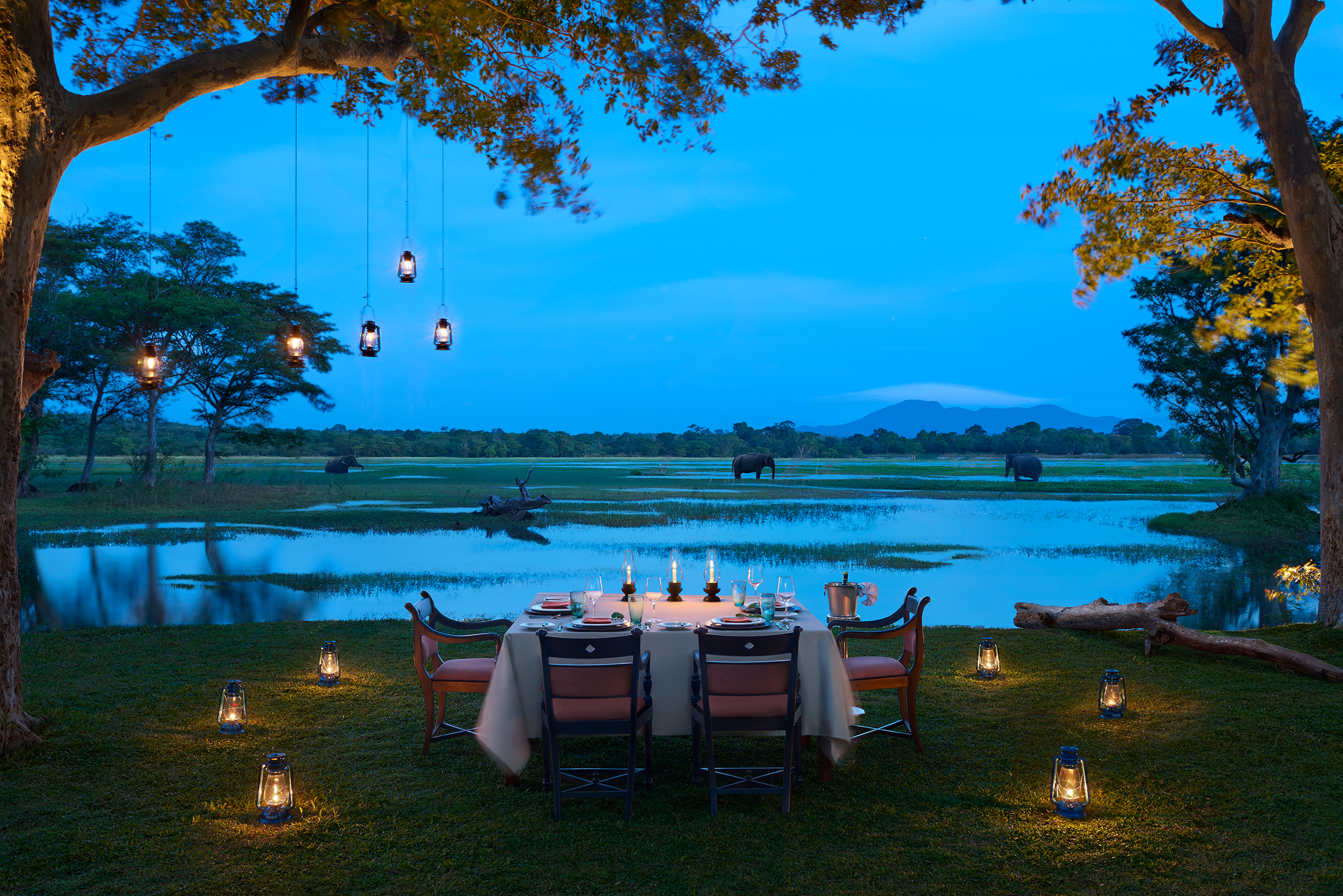 Spis en middag med udsigt til Habarana-søen og måske endda dyrelivet titter frem