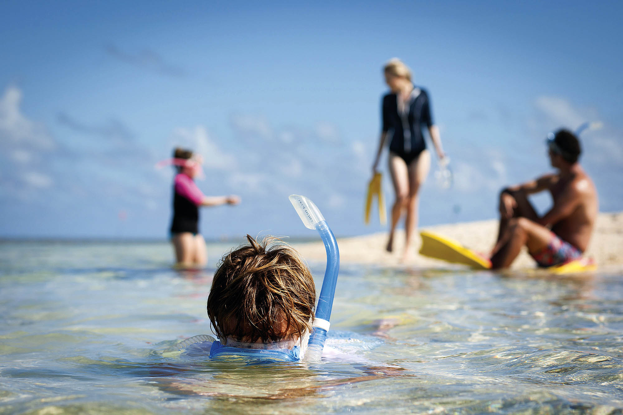 Der er noget for alle aldre på Heron Island