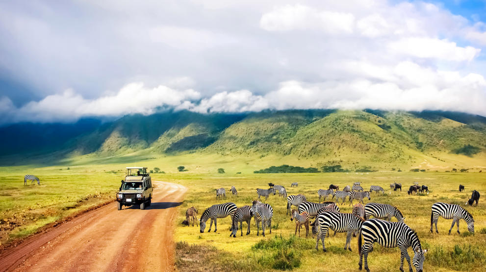 Som en del af rejsen kommer I også på safari, bl.a. i Ngorongoro-krateret