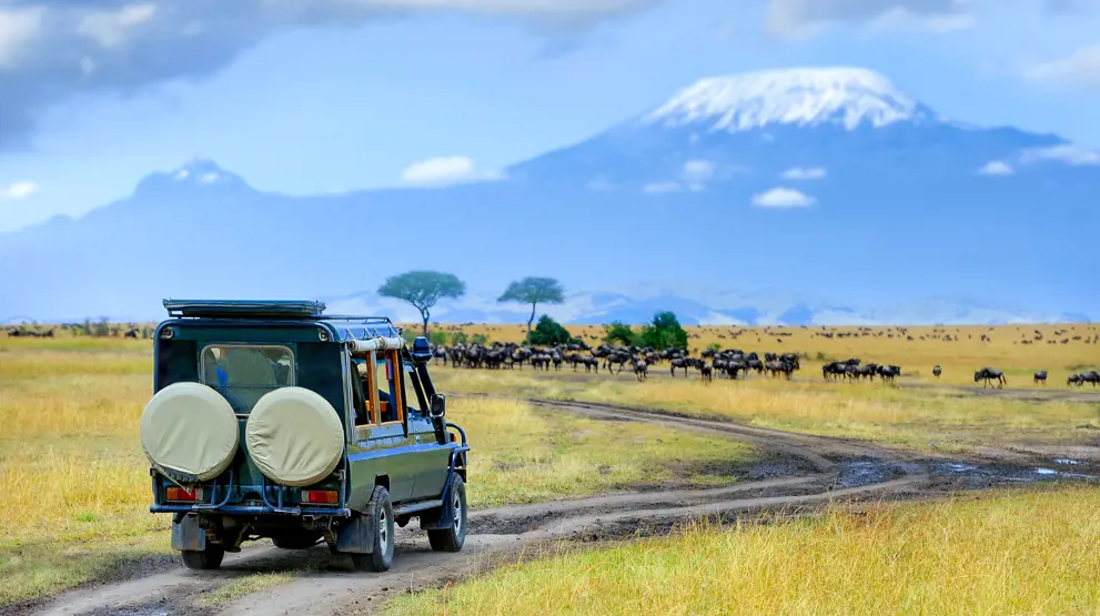 På en BENNS-safari i Afrika er du i trygge hænder med de bedste lokale guider