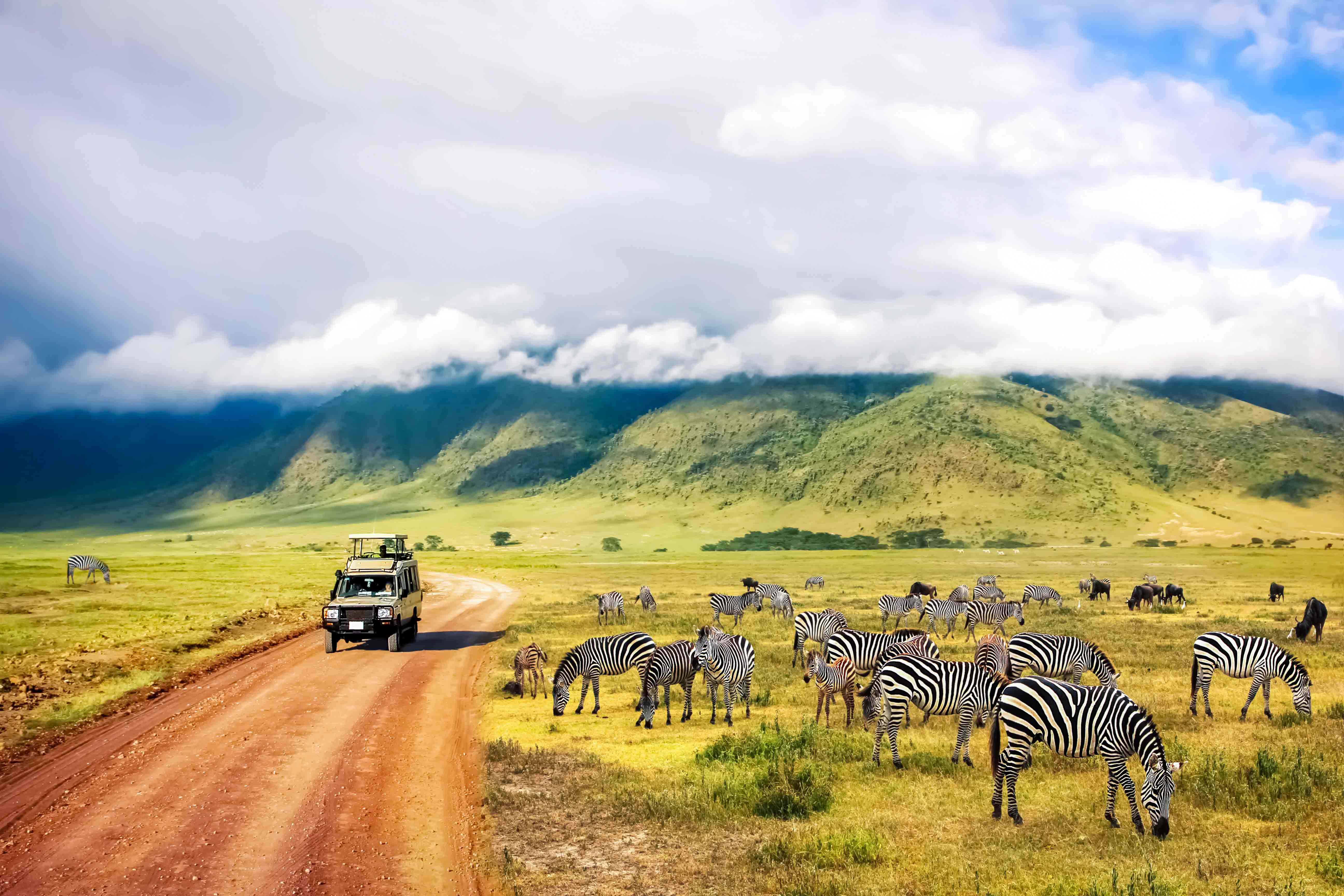Udforsk det frodige Ngorongoro-krater