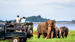 Elefantsafari i Minneriya
