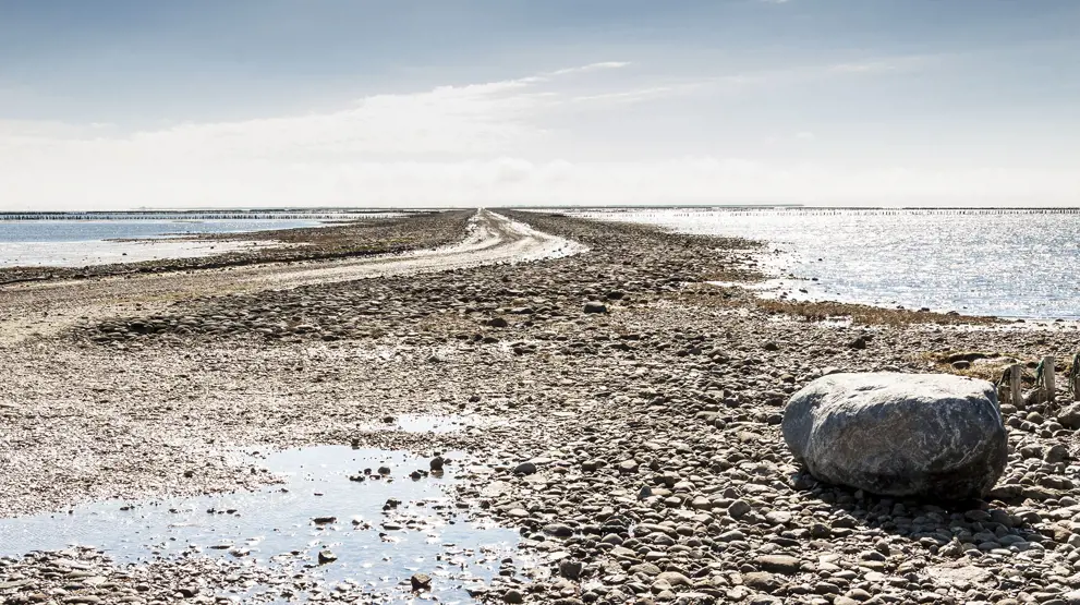 Vadehavet i Danmark er på UNESCO's verdensarvsliste