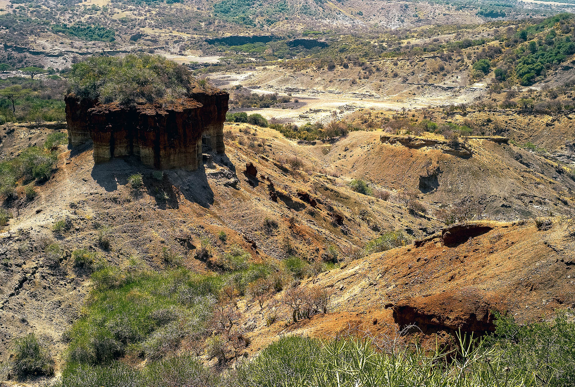 Kløfterne i det forunderlige Olduvai Gorge.