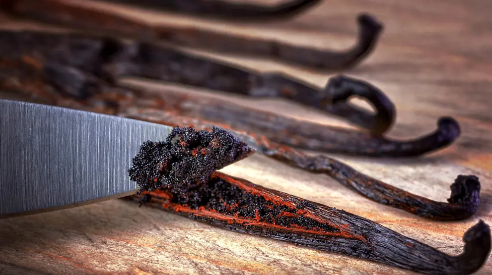 Vanilje vokser vildt på øerne i Det Indiske Ocean