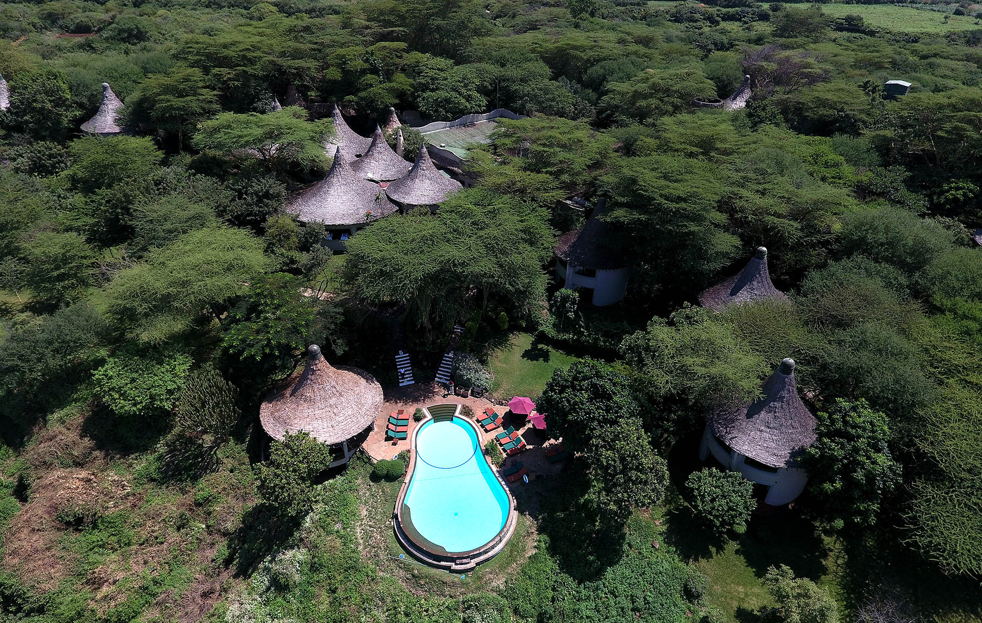 Lodgen ligger i frodige omgivelser ved Lake Manyara