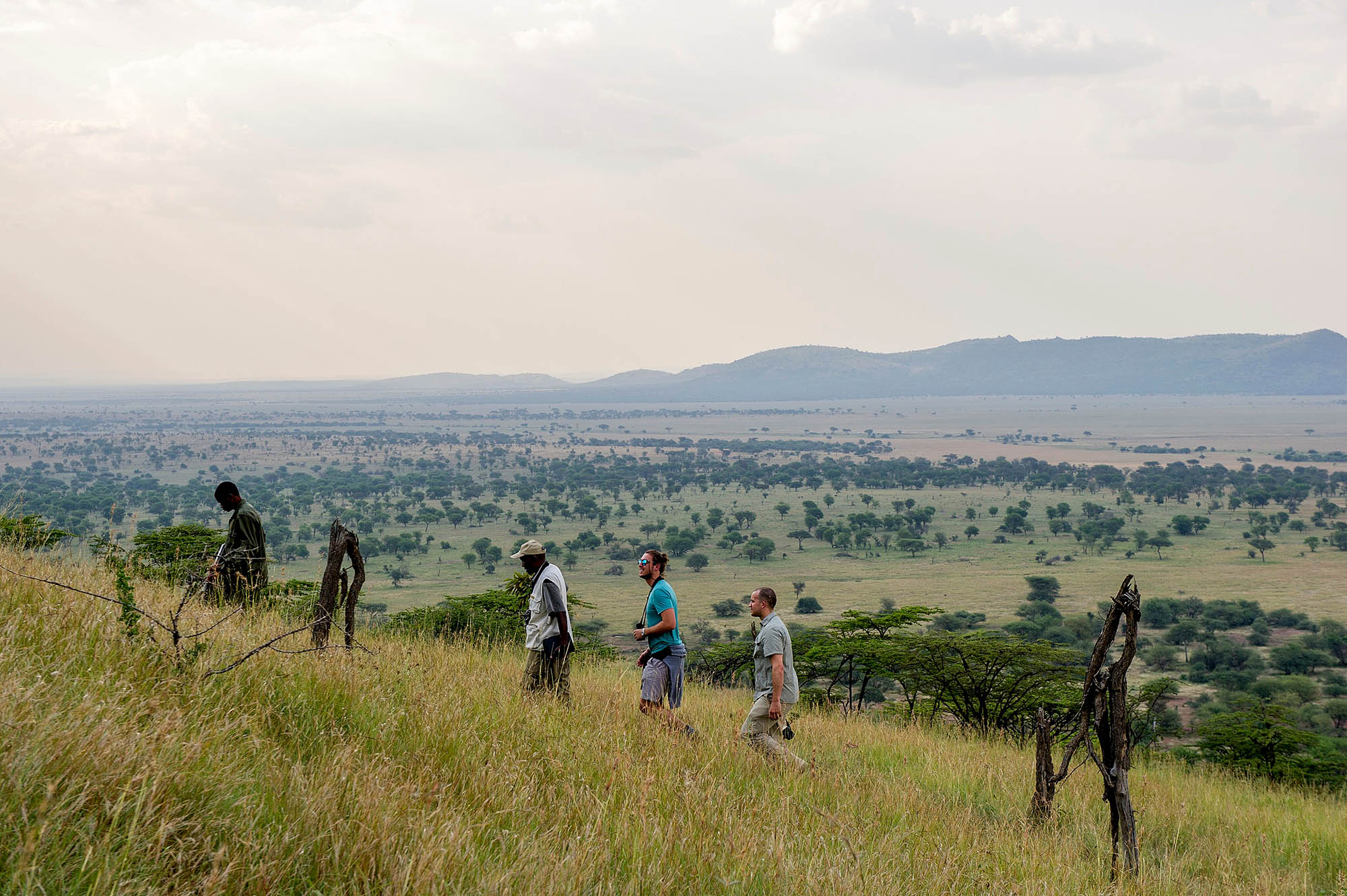 Bushwalking i Serengeti