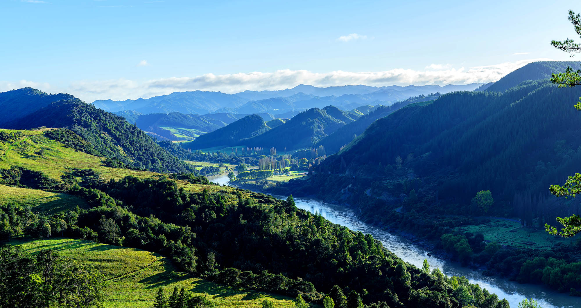 Whanganui River Shutterstock 637428085 CUT