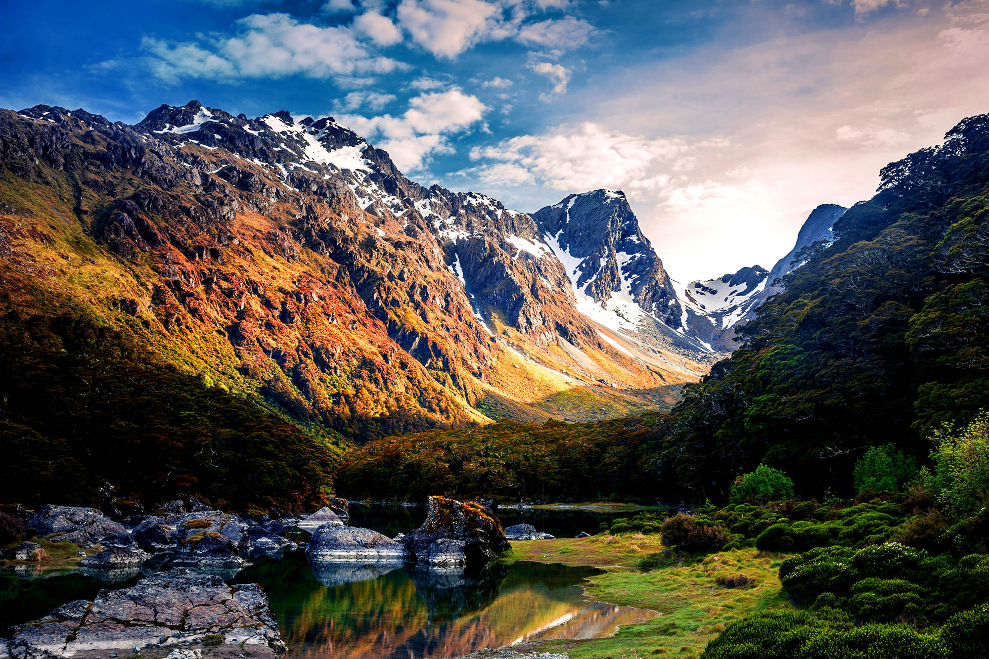 Oplev de dramatiske landskaber og flotte natur i Fiordland National Park.