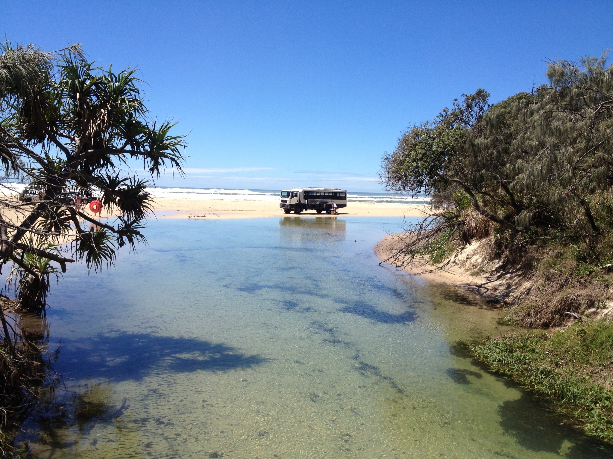 Tag en tur ned af Eli Creek - Rejser til Fraser Island