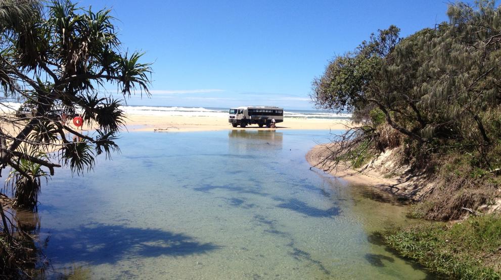 Tag en tur ned af Eli Creek - Rejser til Fraser Island