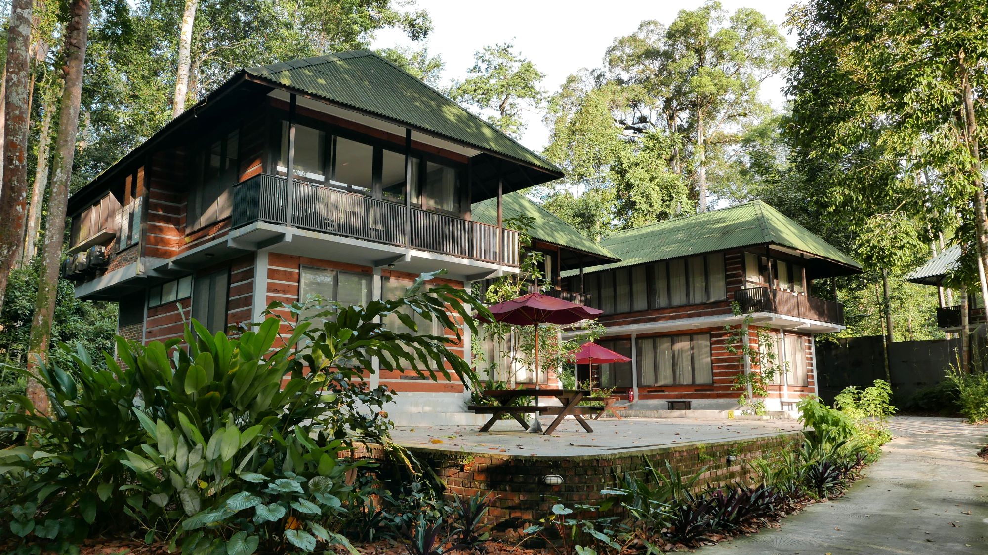 Rompin Rainforest Lodge midt i regnskoven