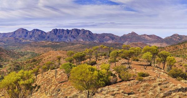 Flinders Ranges Spring Rejser til Flinders Ranges