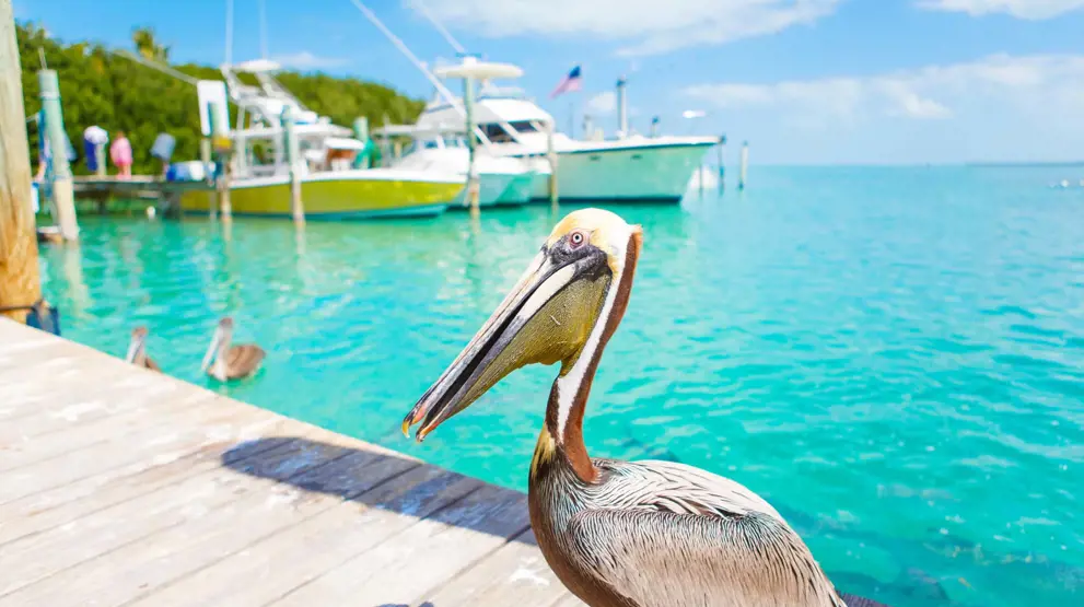 Key West, Florida