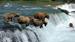 USA-Alaska-Katmai-National-Park-Brooks-Falls-Bears-iStock-157421965
