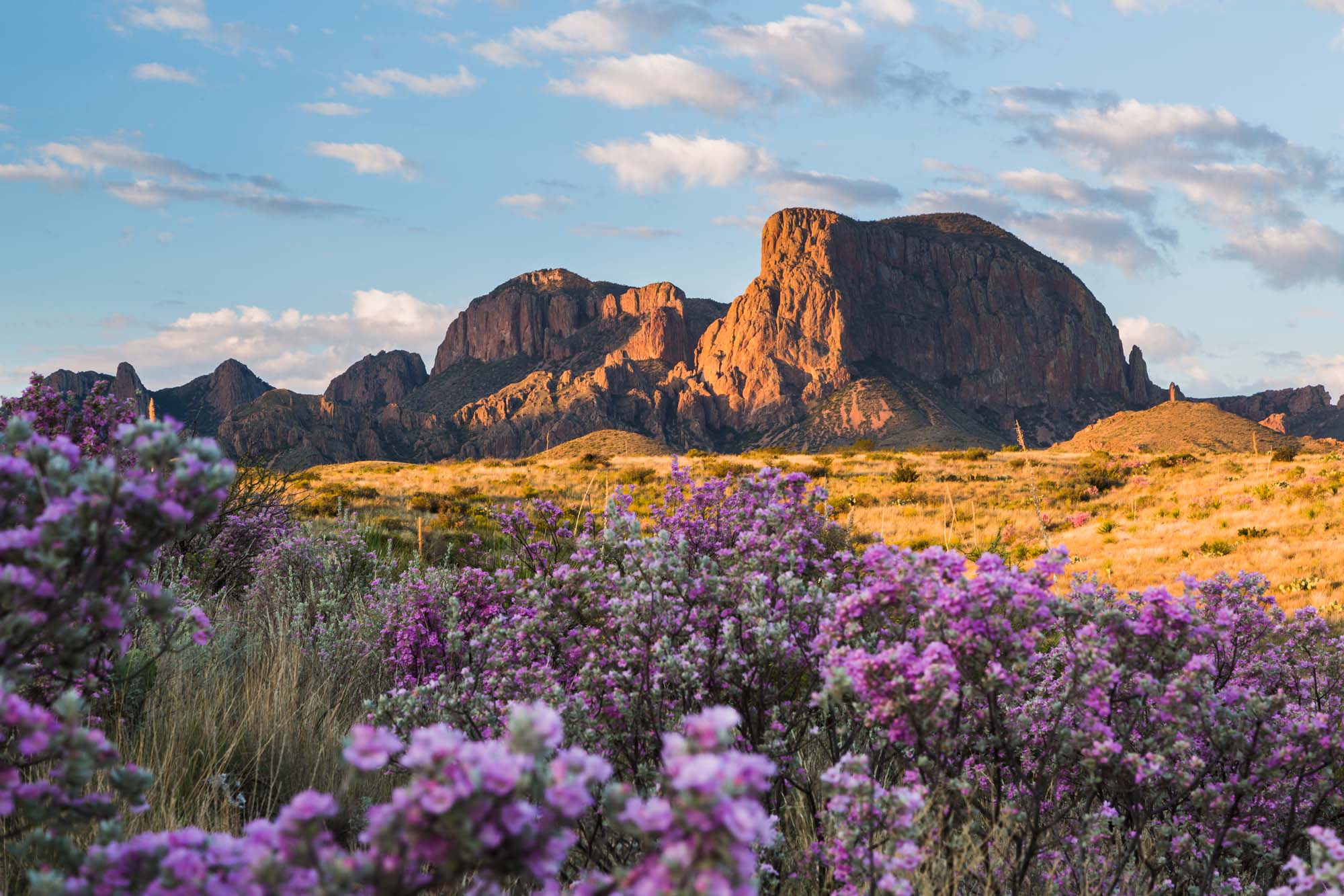Rejser til Big Bend National Park