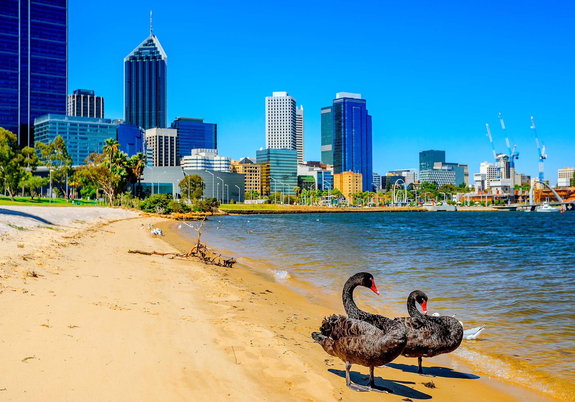 Oplev livlige og solrige Perth på din Western Australia-rejse.