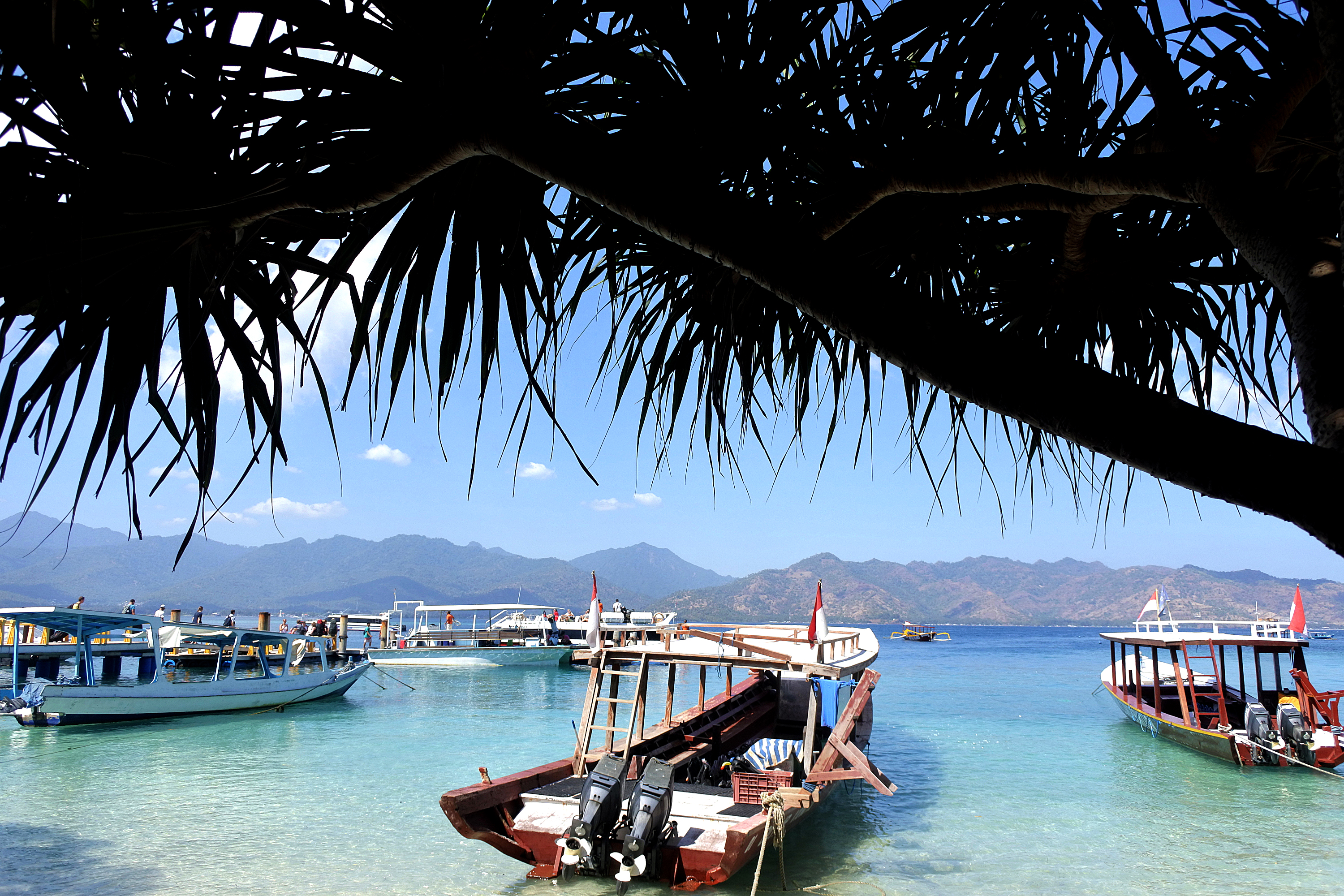 Sejl fra ø til ø i Indonesiens paradis