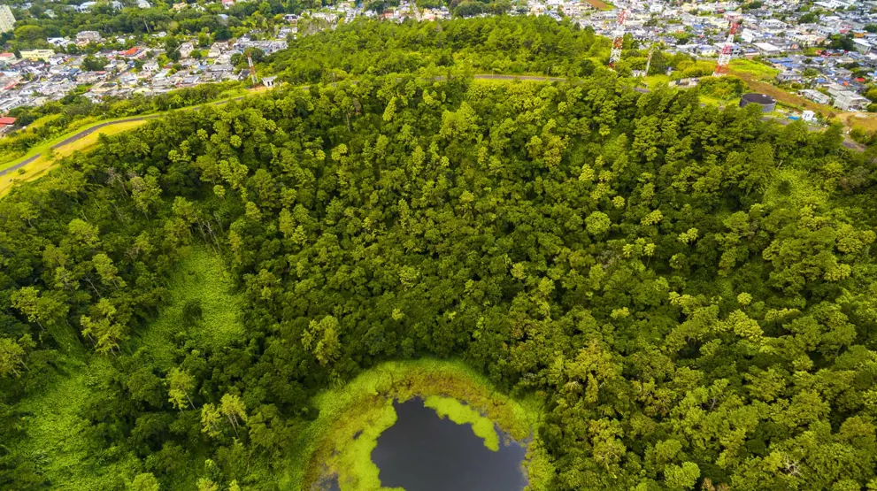 Den udslukkede vulkan Trou aux Cerf med flot vulkansø i krateret.