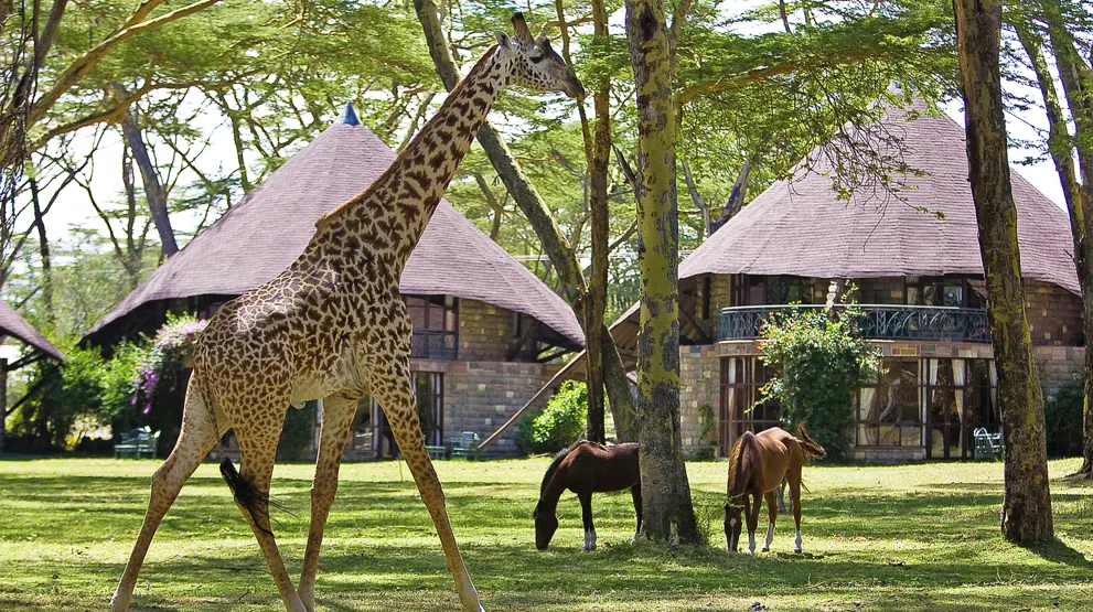 Lake Naivasha Sopa Lodge
