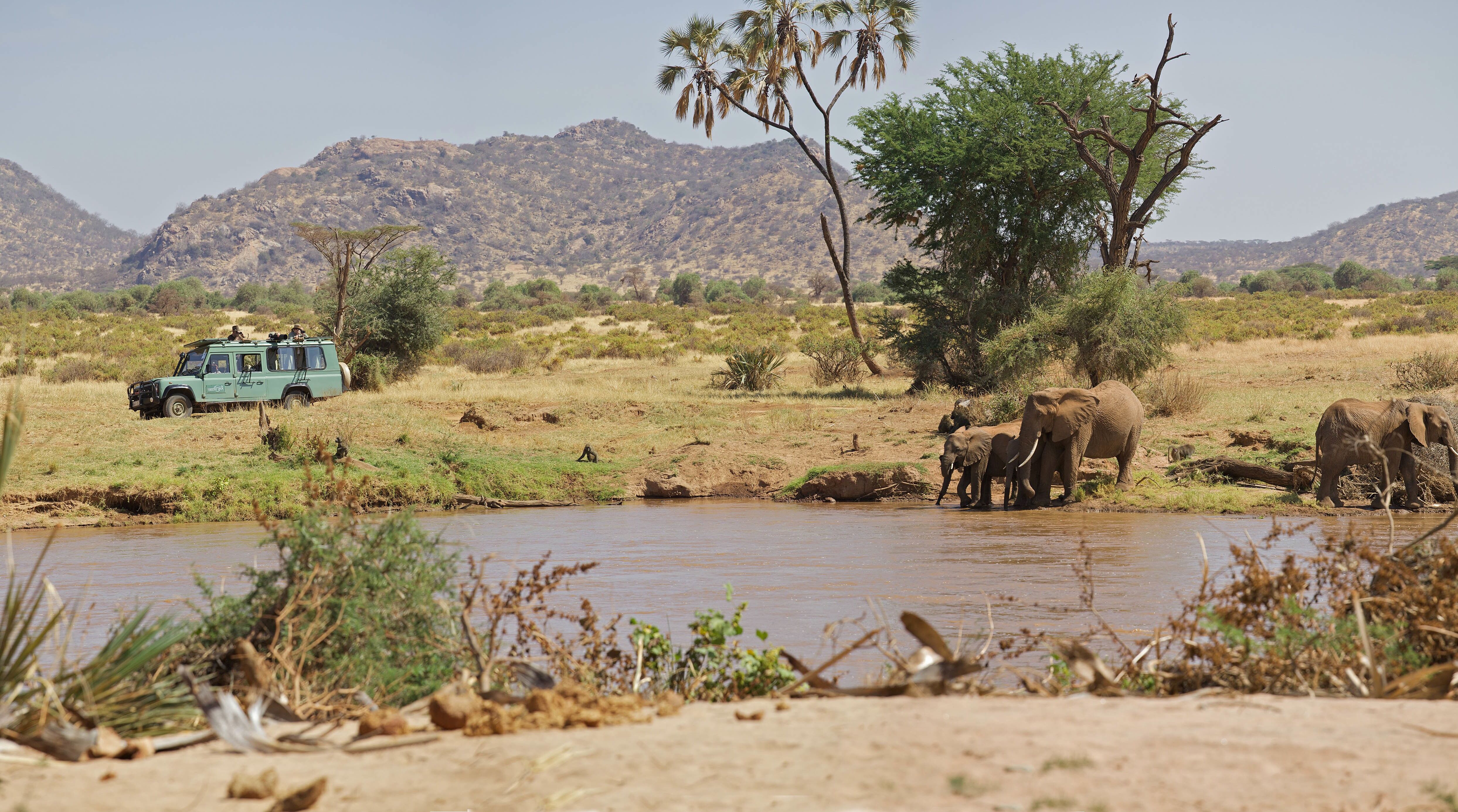 Safarirejser til Kenya, bo på Ashnil Samburu Lodge, fantastisk safariområde i Samburu