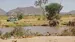 Safarirejser til Kenya, bo på Ashnil Samburu Lodge, fantastisk safariområde i Samburu