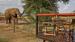 Safarirejser til Kenya, bo på Ashnil Samburu Lodge, udsigt fra safariteltet