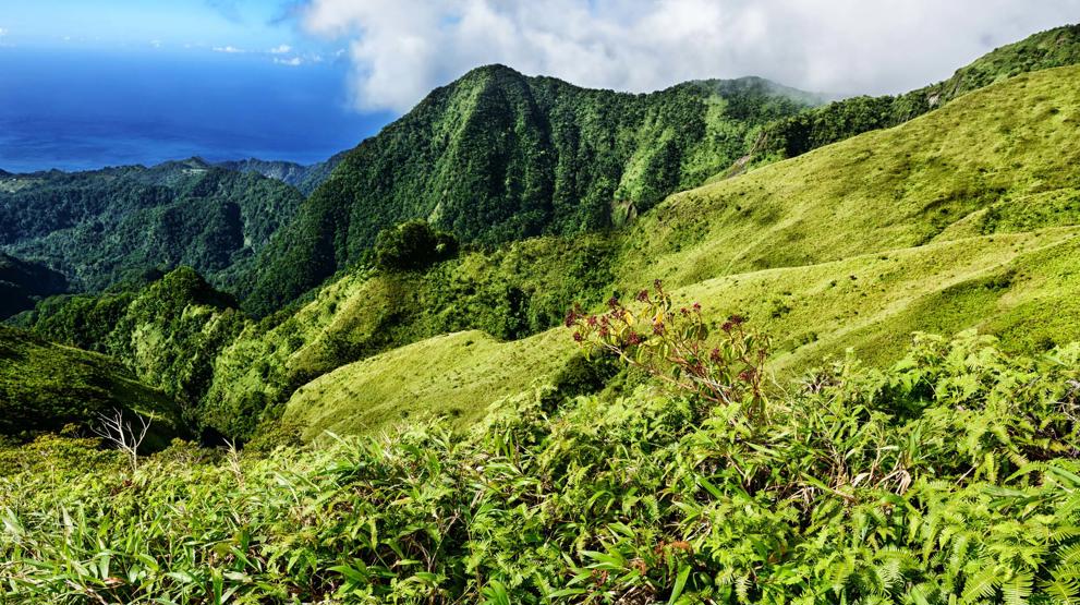 Smukke naturoplevelser på Martinique - Rejser til Caribien
