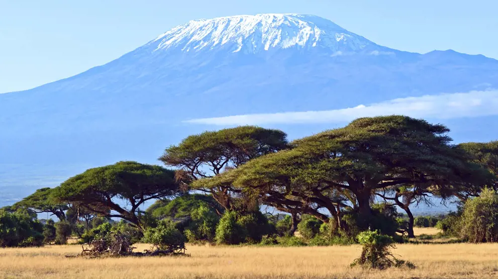 Fra Amboseli har man flot udsyn til Kilimanjaro