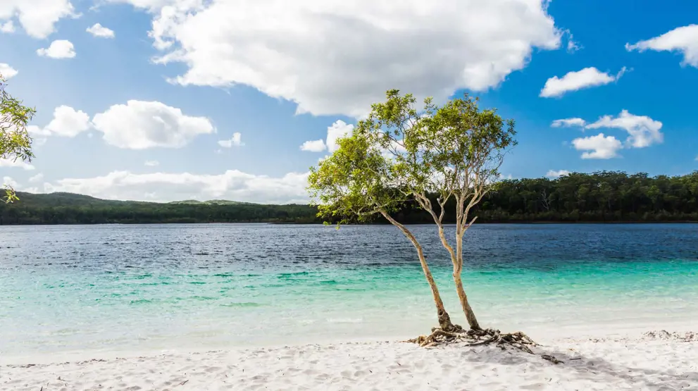 Smukke Lake McKenzie på Fraser Island