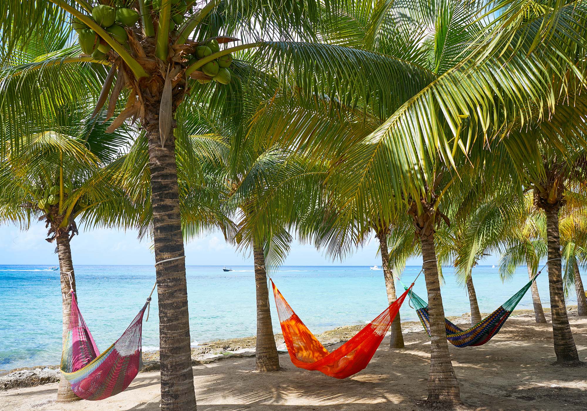 Besøg Cozumel på en rejse til Mexico