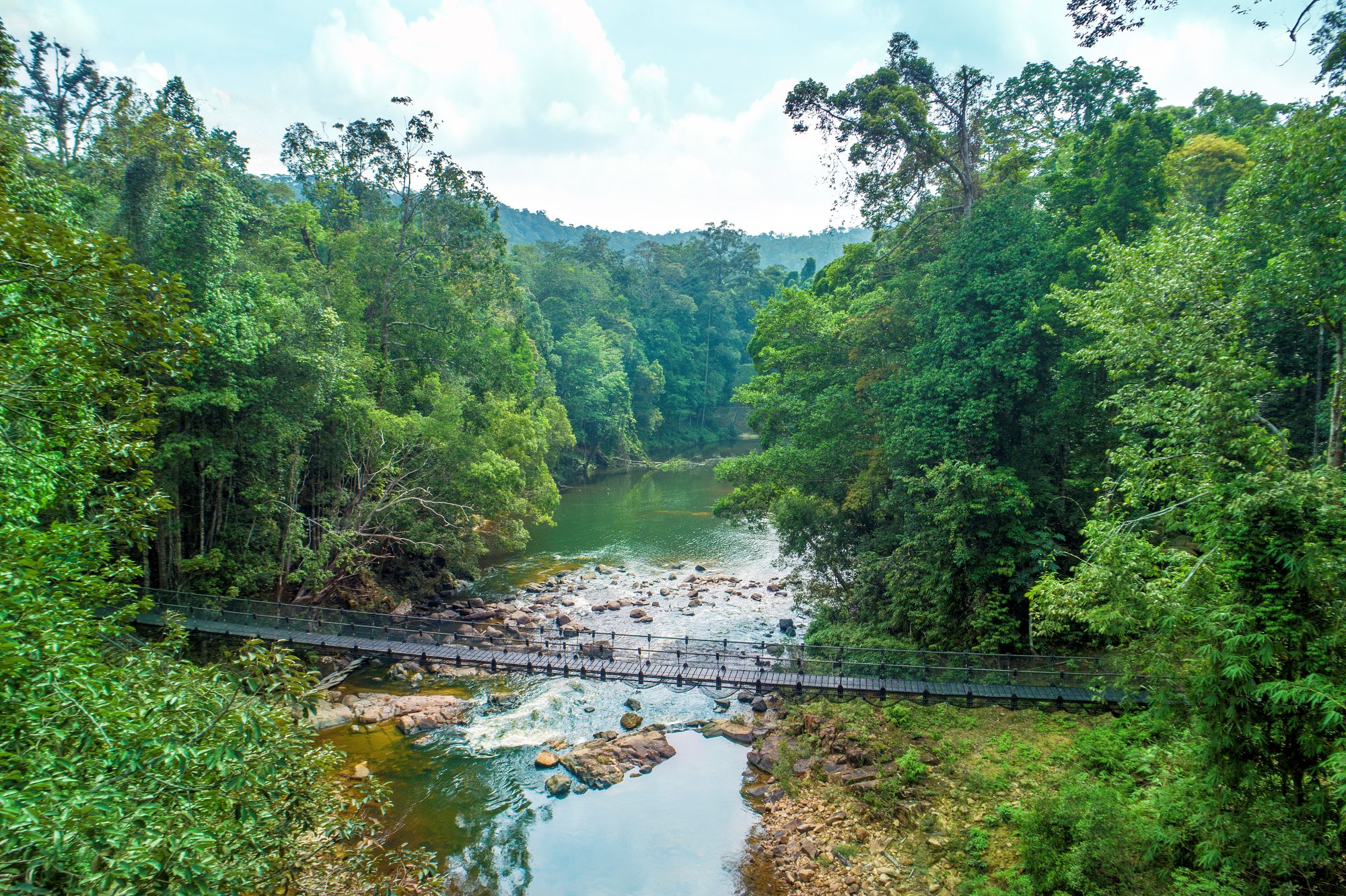 Unikke naturoplevelser i Rompin State Park