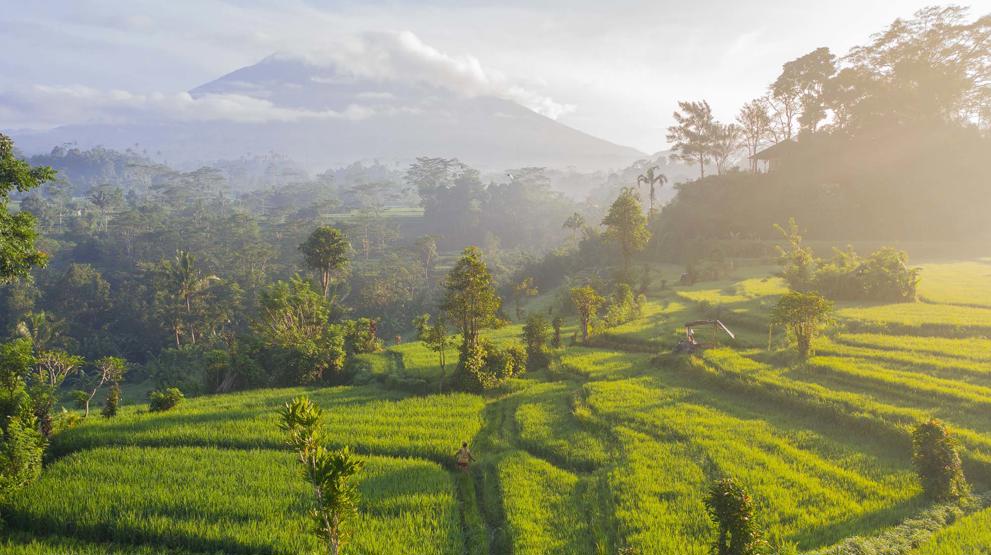 Oplev rismarker i Bali på rundrejse i Asien