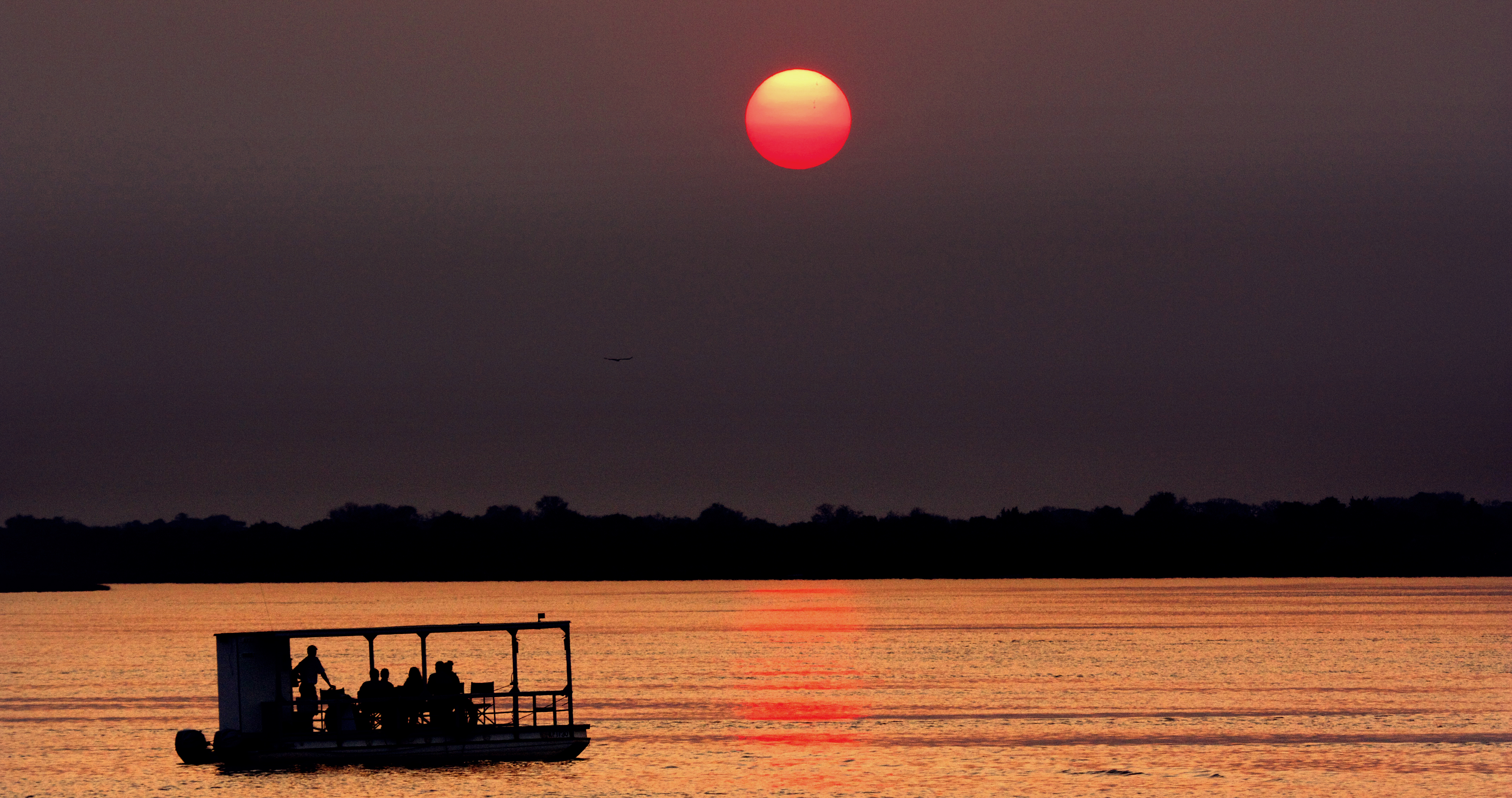 Flodcruise på Zambezi-floden. Foto: Imvelo Safari Lodges - Safari i Zimbabwe
