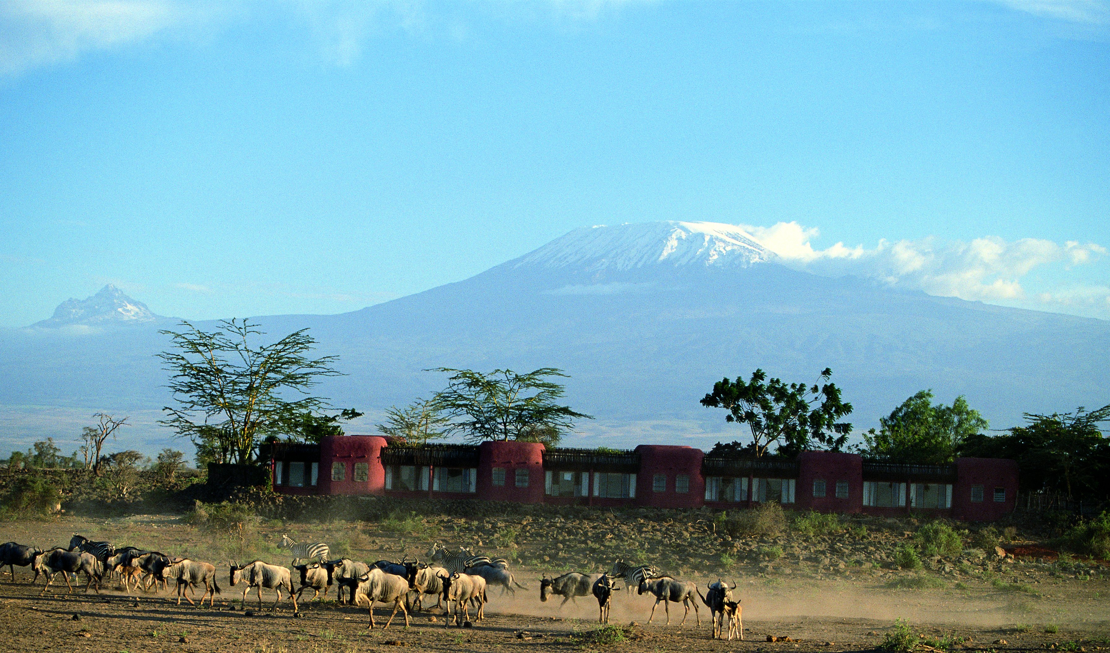 Se Kilimanjaro fra Serena Lodge Amboseli