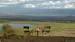 Nyd den fantastiske udsigt fra Serena Lodge Amboseli
